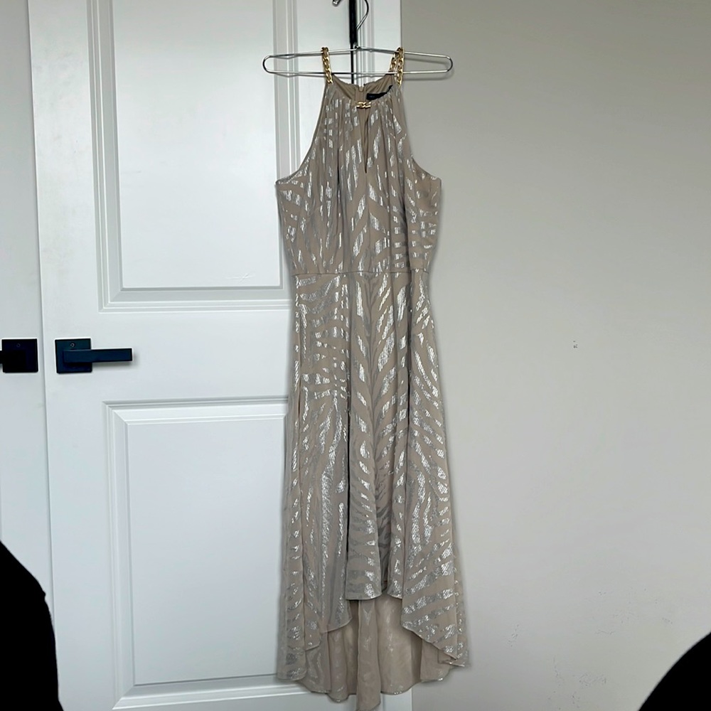 Zebra biscotti WHBM dress